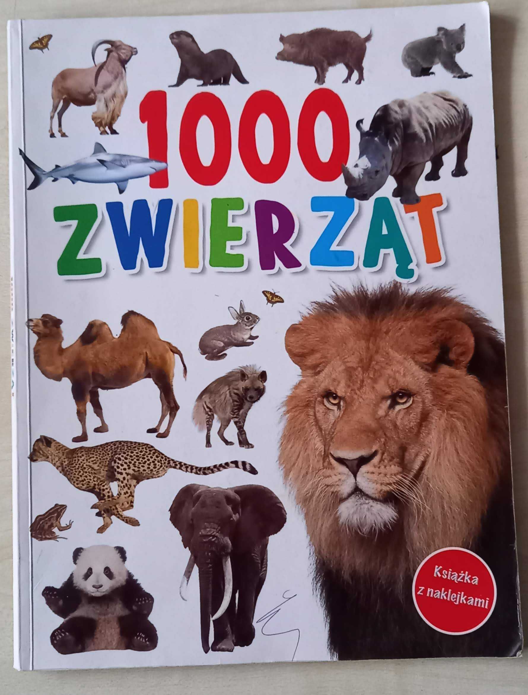 odszukaj 1000 zwierząt książeczka zgadywanka