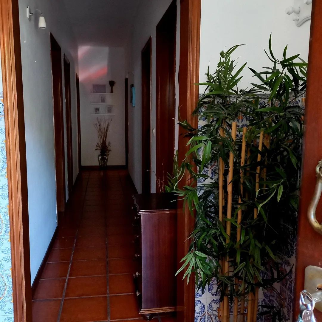 Aluguer de 1 quarto ( raparigas) 270€