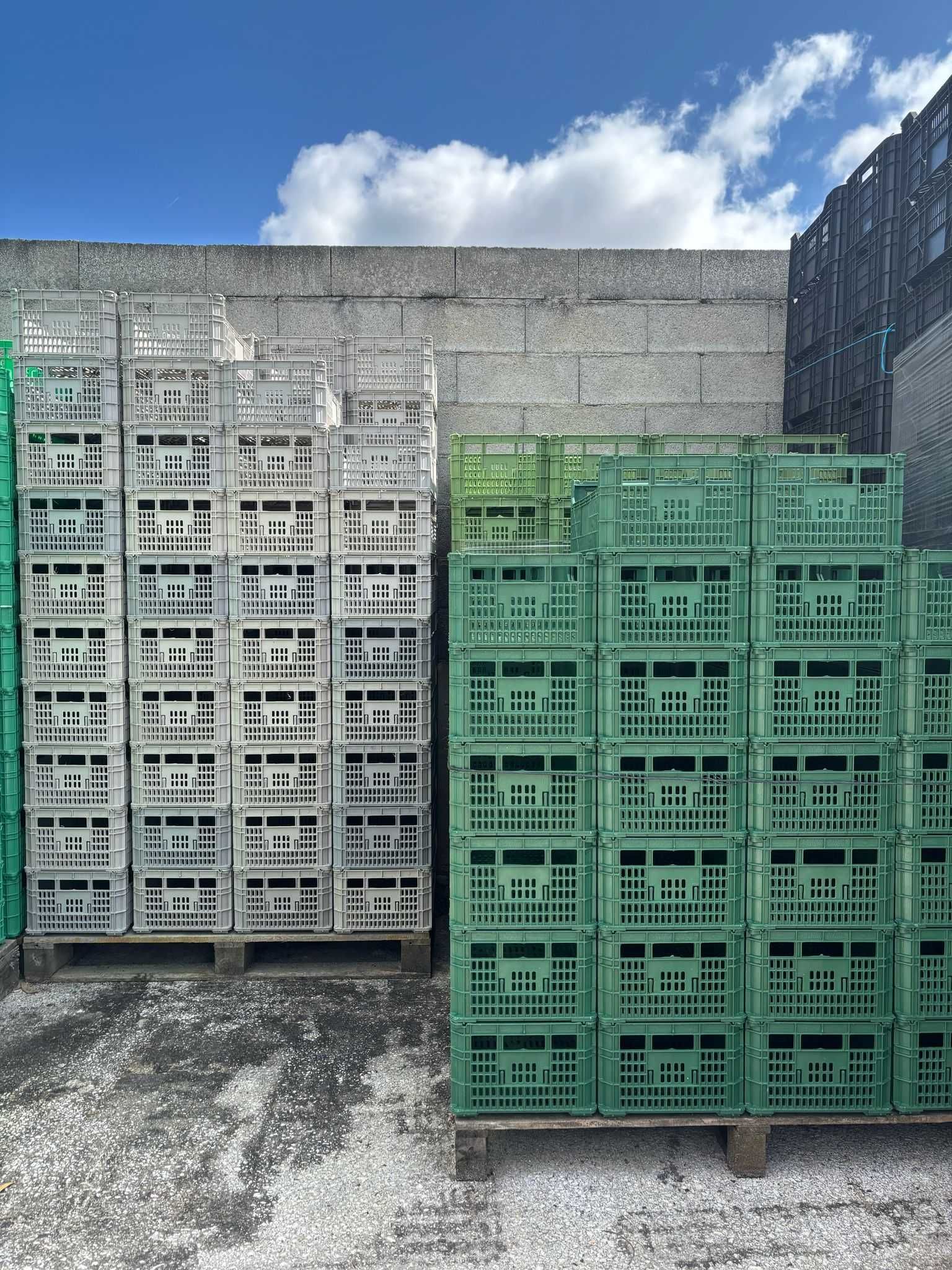Caixa p/arrumação ou fruta