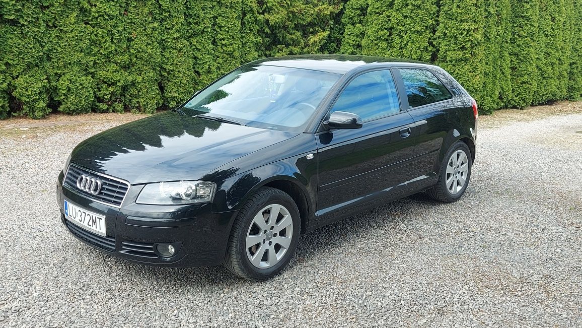 Audi A3 8P 2005 1.9 TDI 105 KM