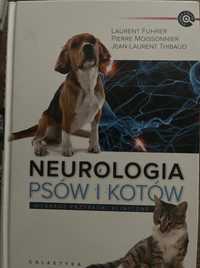 Neurologia psów i kotów