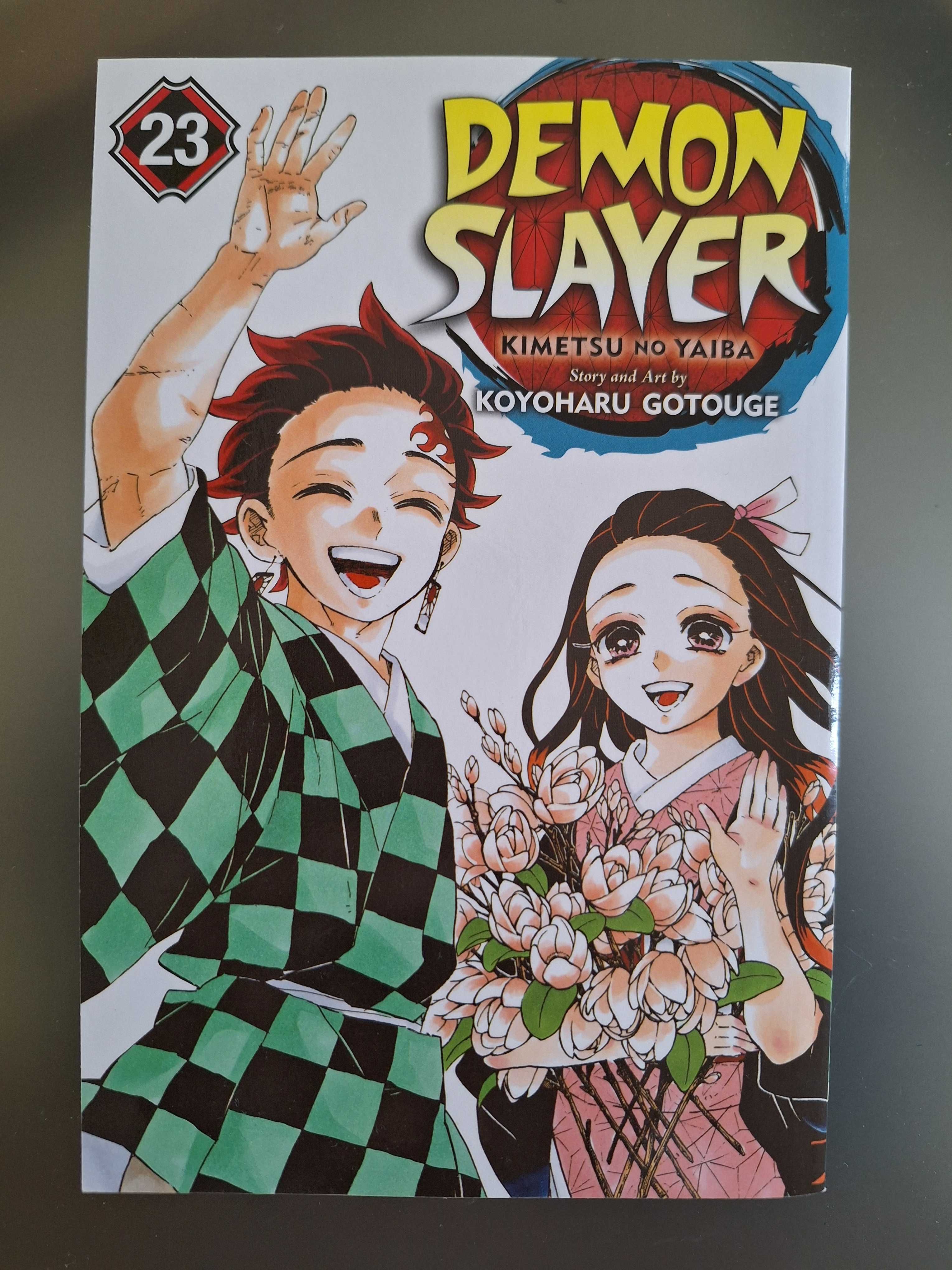 Demon Slayer Volumes 12-23 em Inglês