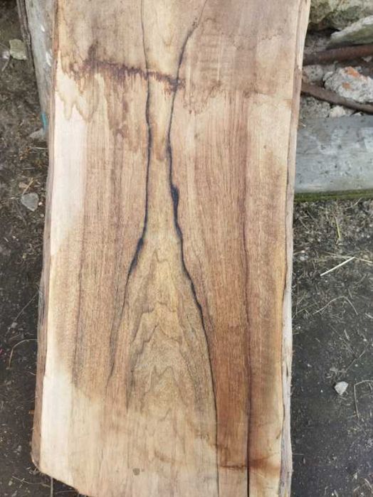 Deska orzech włoski sezonowana