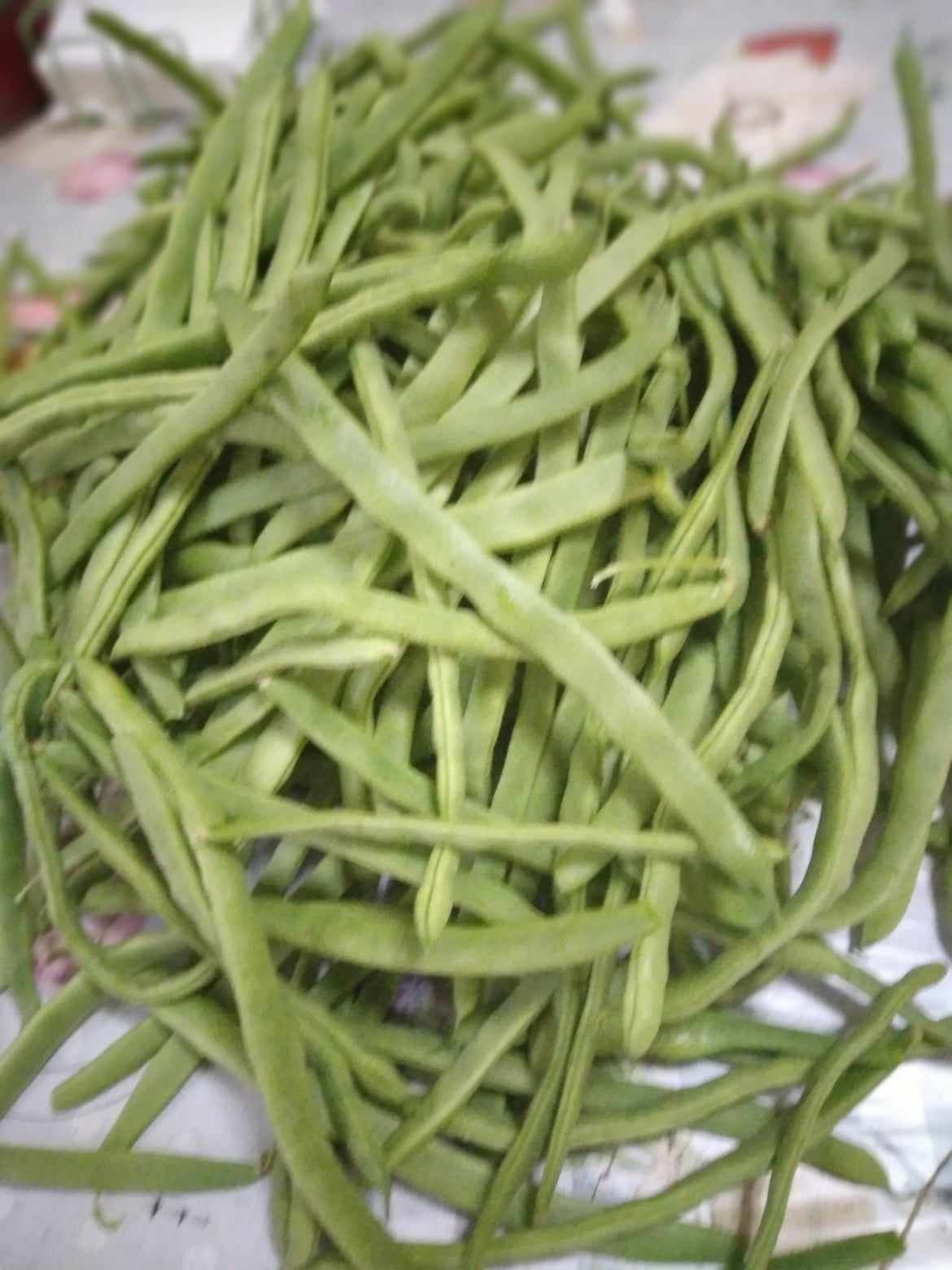 Vendo feijão verde