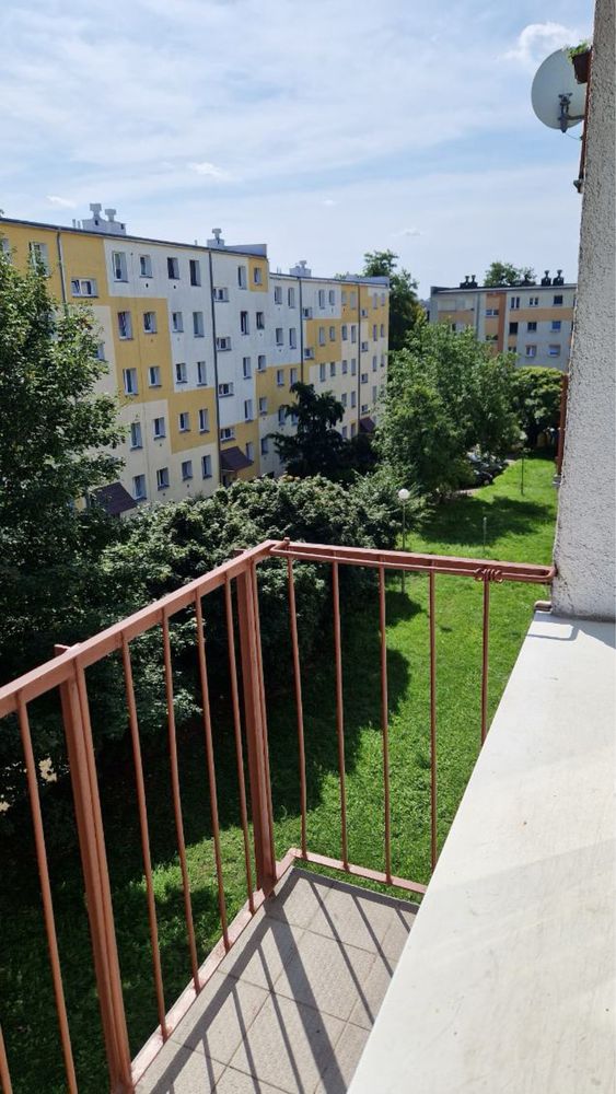 Mieszkanie do wynajecia po zupełnym remoncie