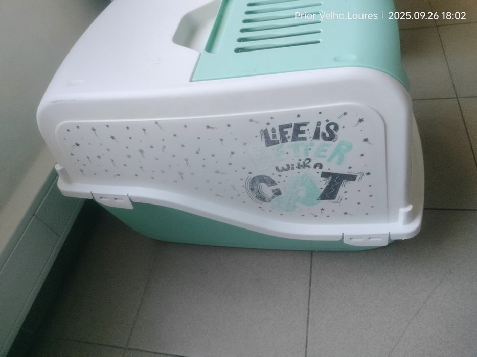 Casinha de wc gato branco e verde