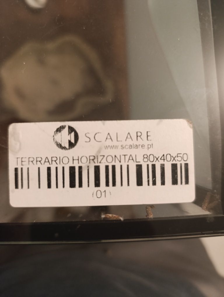Terrário scalare com alguns equipamentos