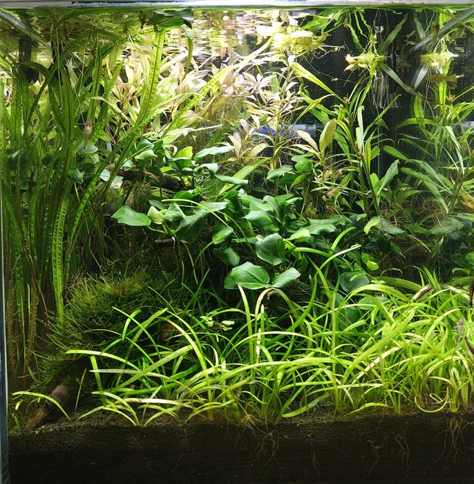 Zestaw optiwhite 40x40x40 z pełnym wyposażeniem, markowe sprzęty.