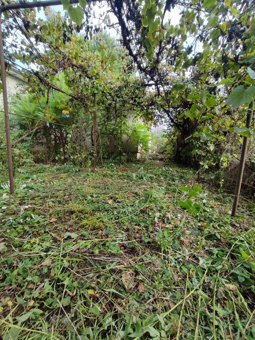 Продаж ділянка та дачний будинок вул.Набережна