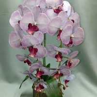 Орхидеи из латекса
