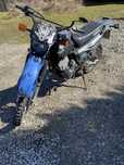 Yamaya xt 600 3tb