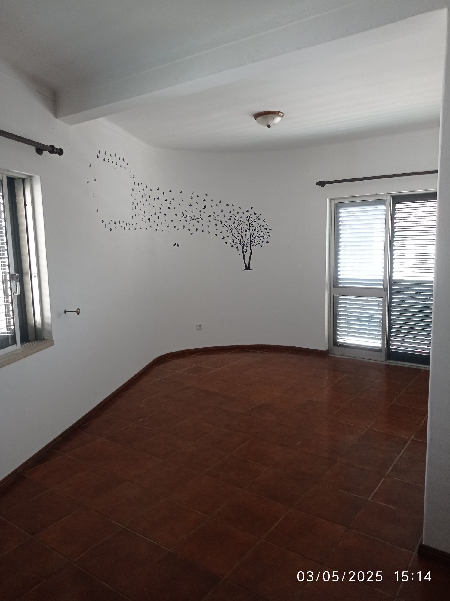 Moradia em Ançã composta por habitação e comércio