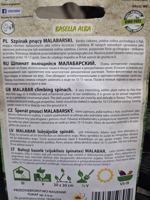 Szpinak Malabarski pnący nasiona