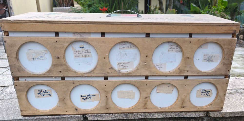 Transportadora de aves Usada ( como nova)