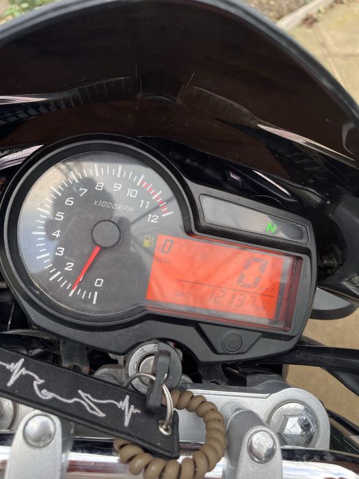 Musstang region 150 2022