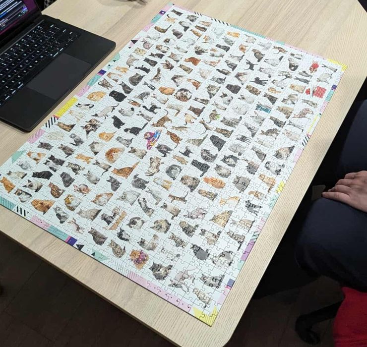 Puzzle koty 1000 elementów - trefl