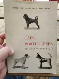 Cães portugueses - estalões das suas raças