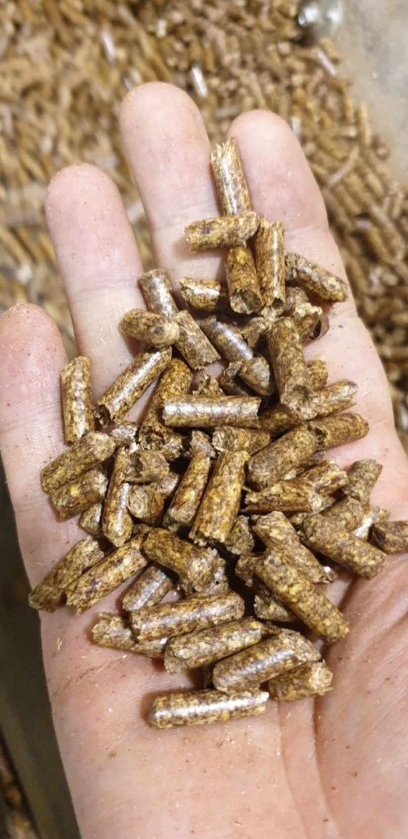 Pellet drzewny ECONOMY -POLSKI PRODUCENT - Promocja