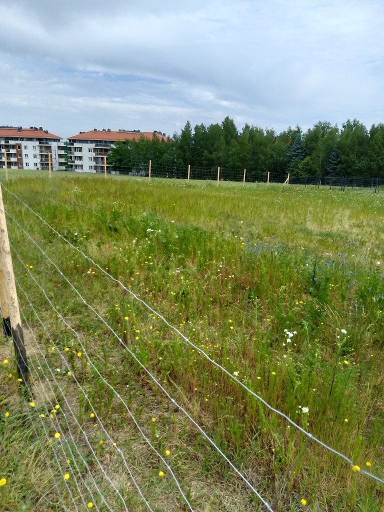 Ogrodzenie leśne tymczasowe budowlane