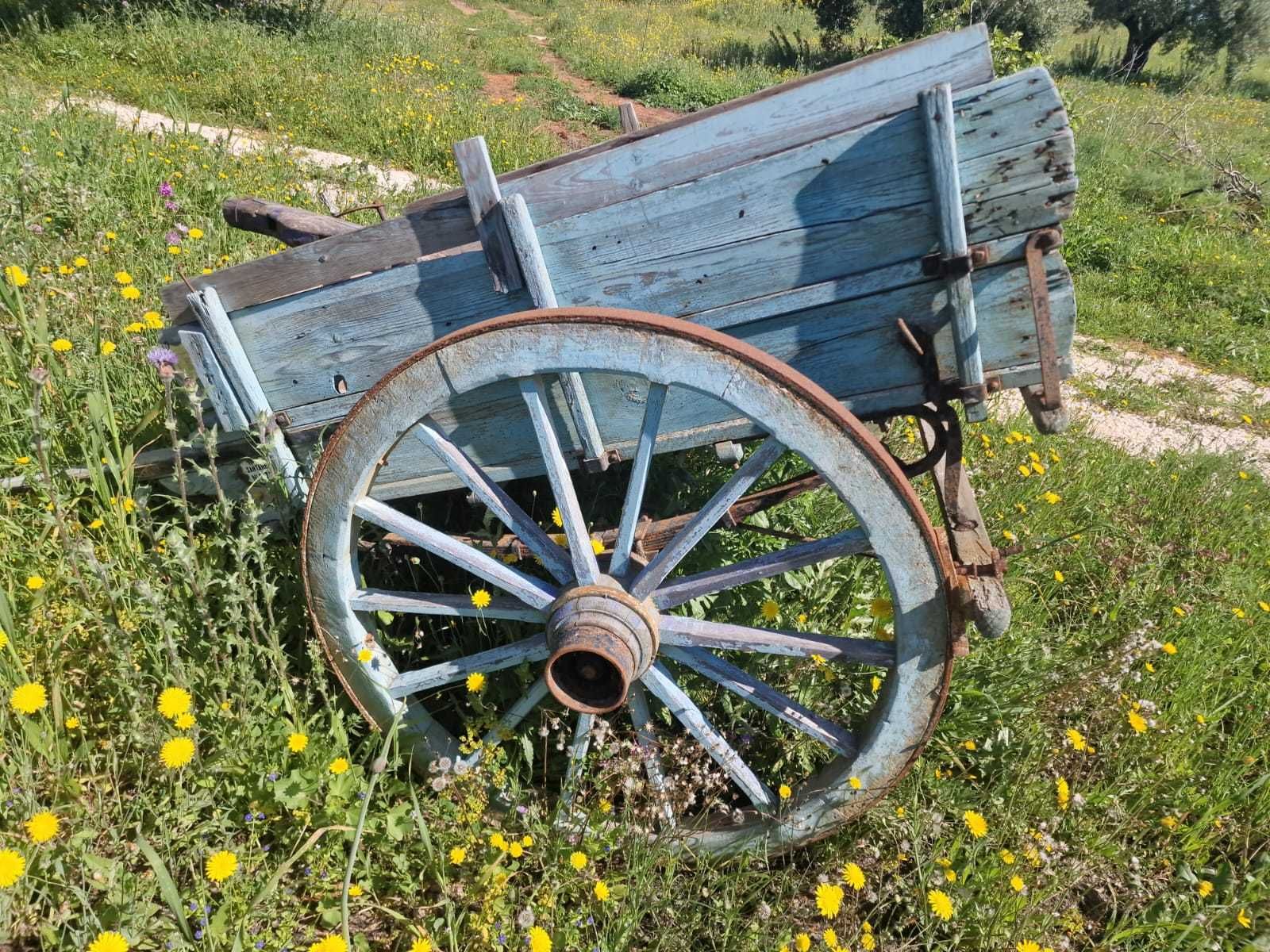 Carroça para cavalos, charrete