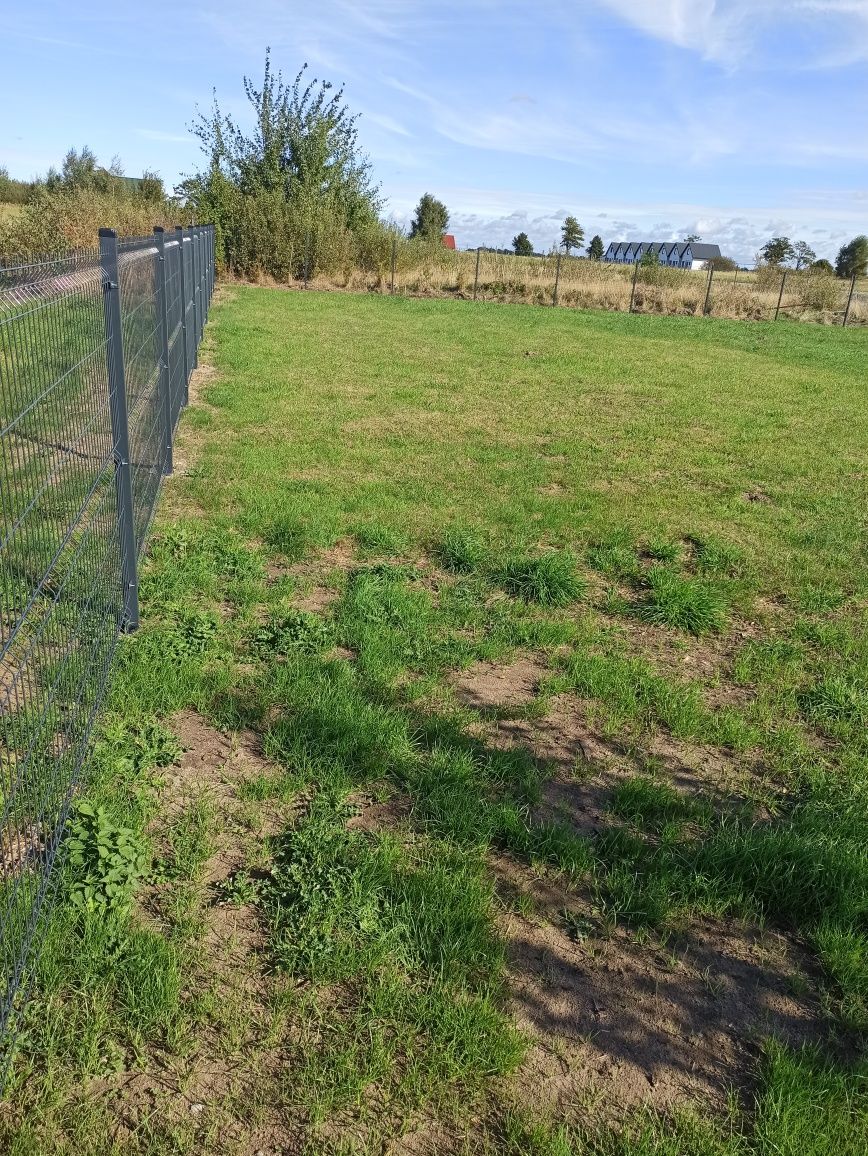 Wydzierżawię miejsce pod przyczepę kempingową, holenderkę, kamper