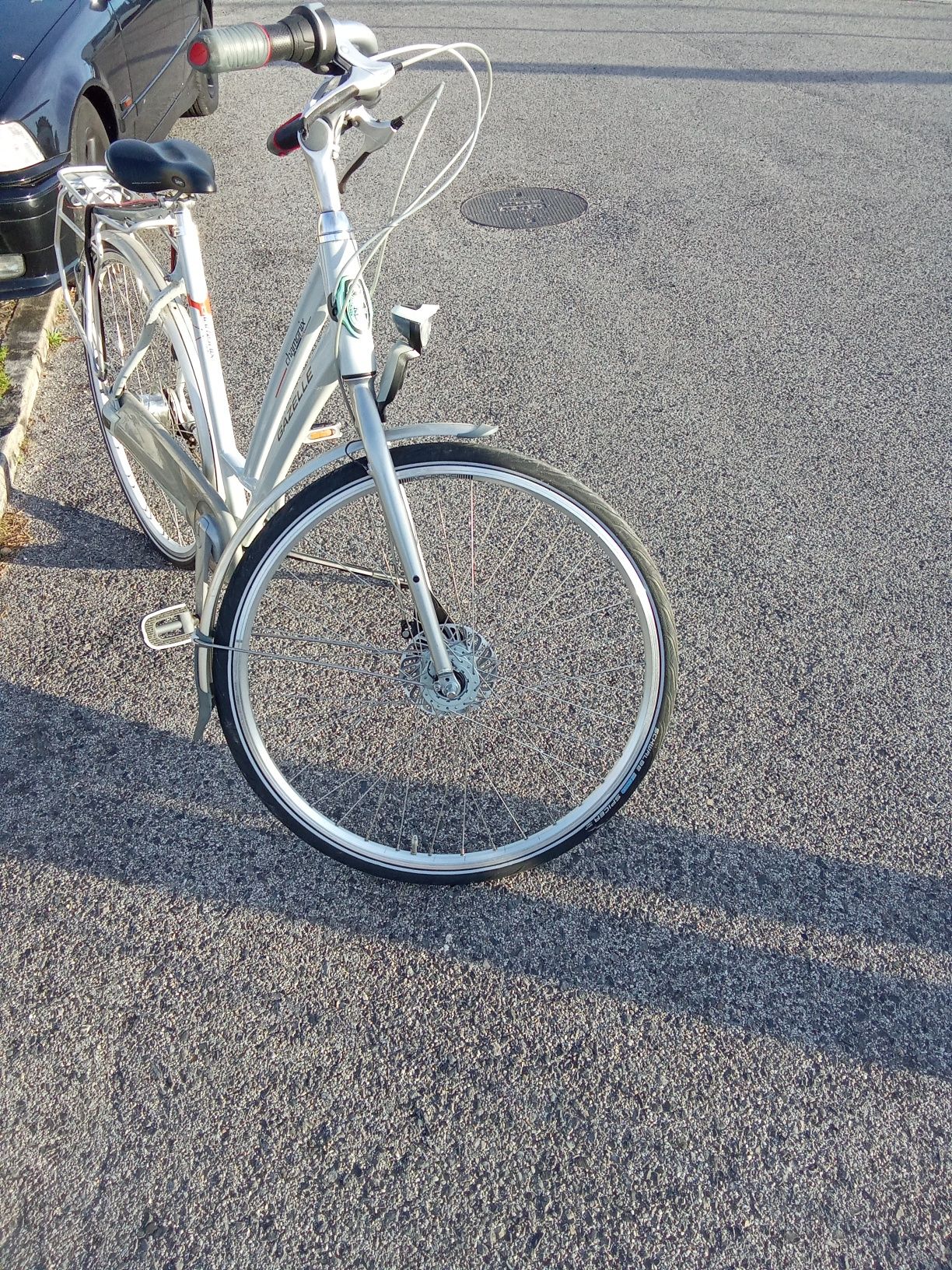 Bicicleta gazele