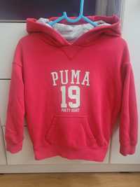 Bluza PUMA 104 cm