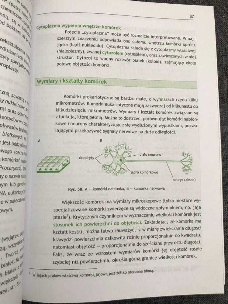 Biologia Bukała komórka skład chemiczny i struktura