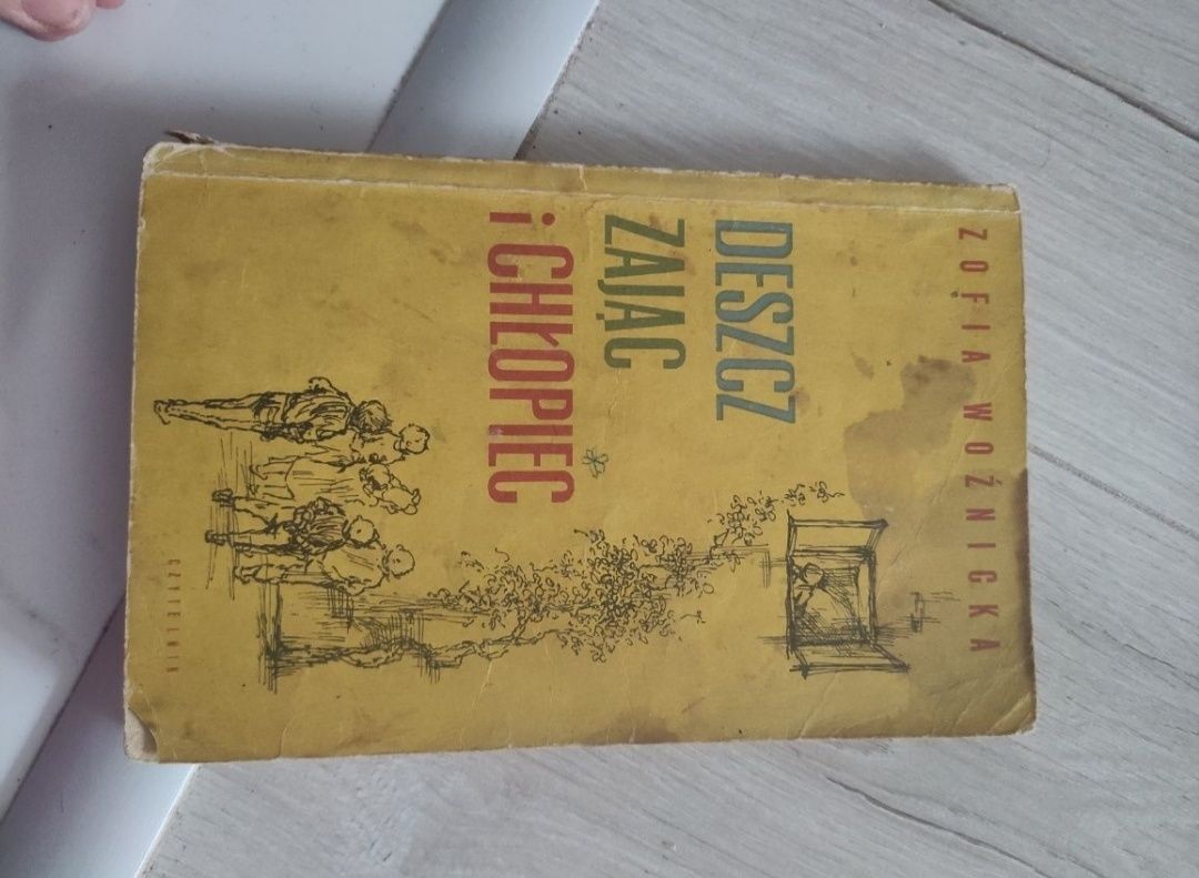 Zofia Woźnicka "Deszcz, zając i chłopiec"