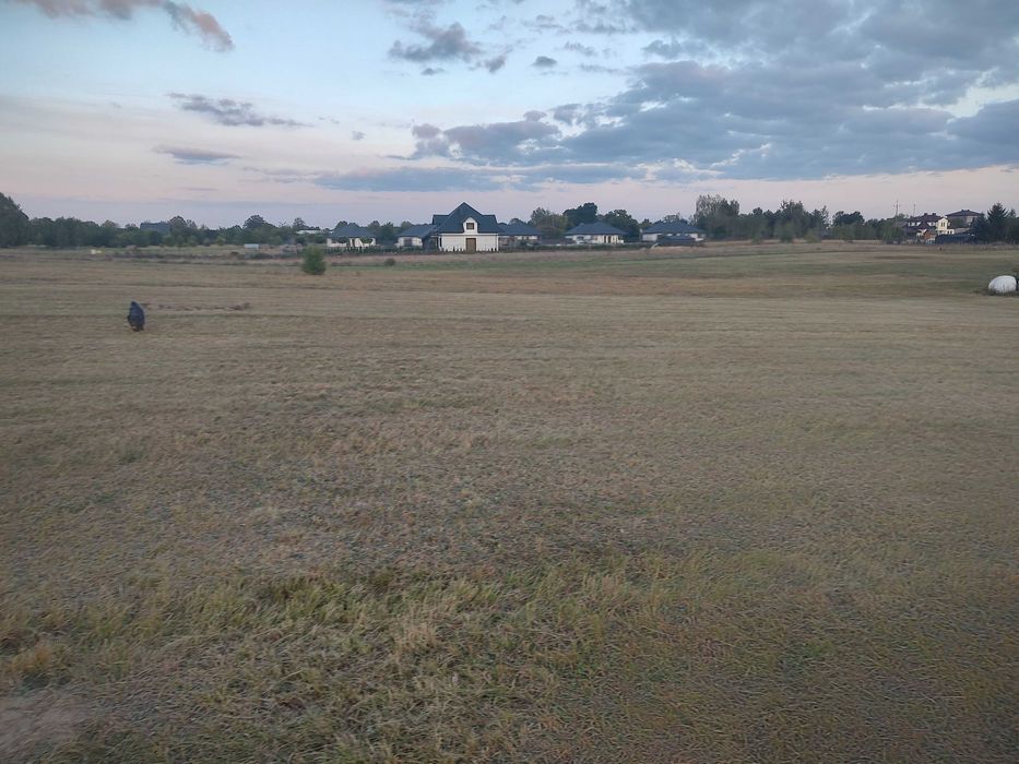 Sprzedam działkę budowlaną Stare Załubice