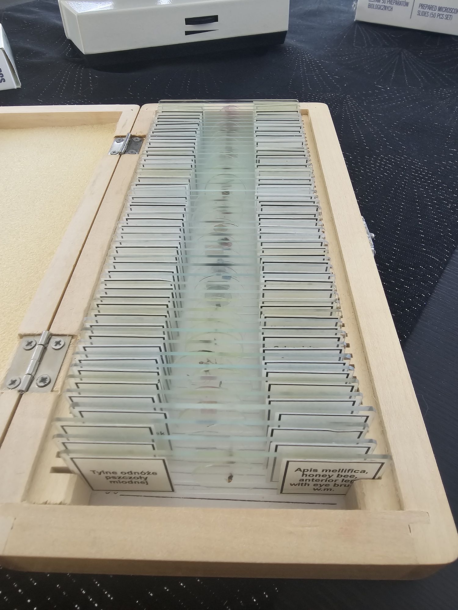 Mikroskop Delta Biostage  II