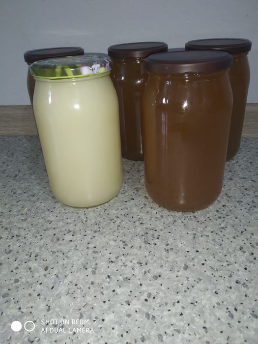 Miód prosto z pasieki