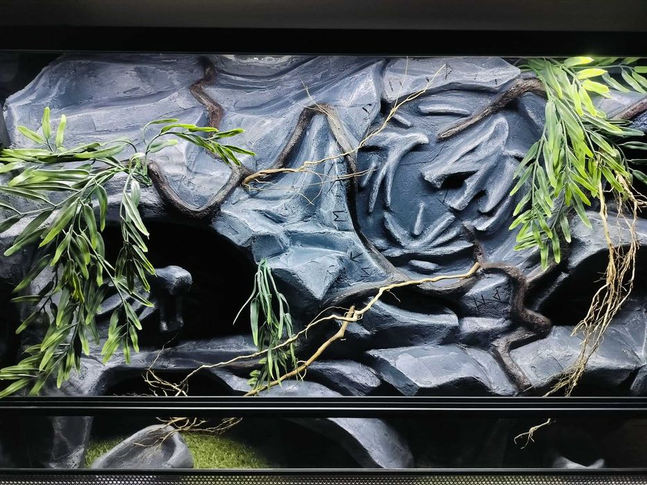 Terrarium dla fana mitologii słowiańskiej wilk gekona AquaWaves TW44MS