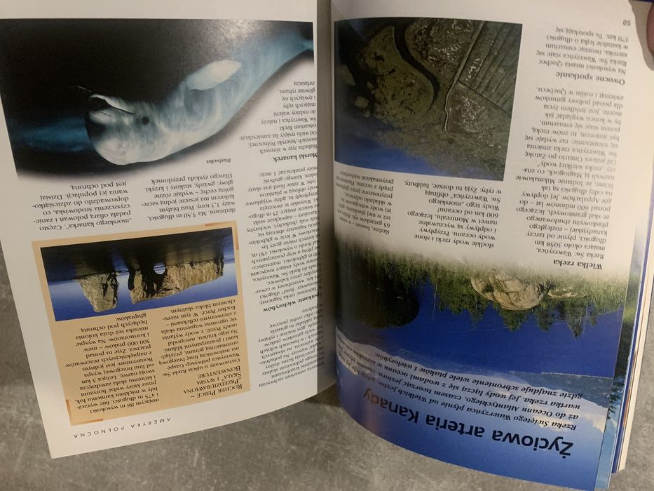 Encyklopedia tematyczna Ziemia