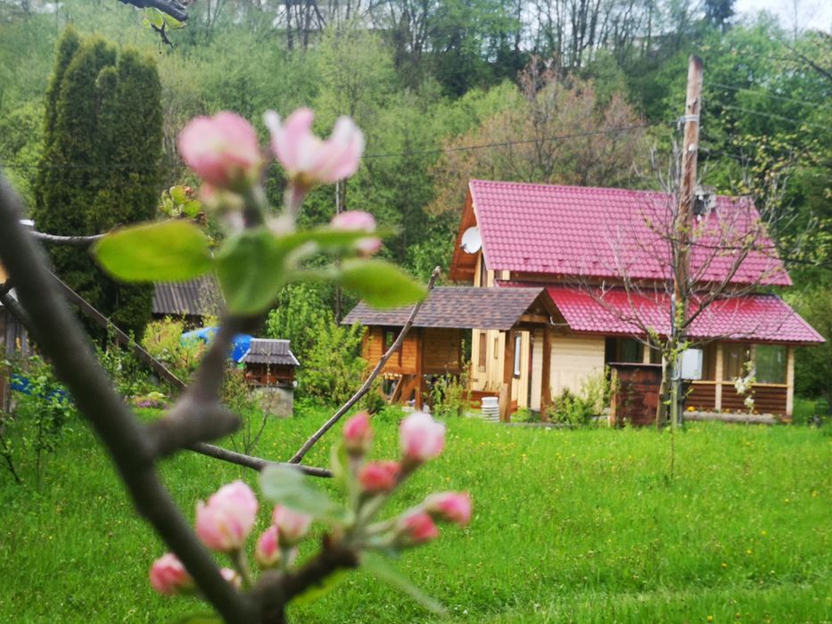 Котедж в Карпатах «Карпатський світанок " чекає саме на тебе!!