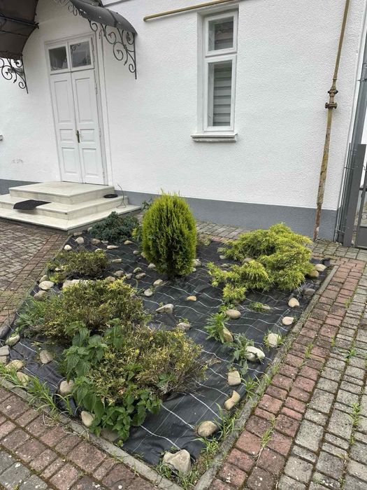 Оренда будинку відстань м. Стрий 3 км .