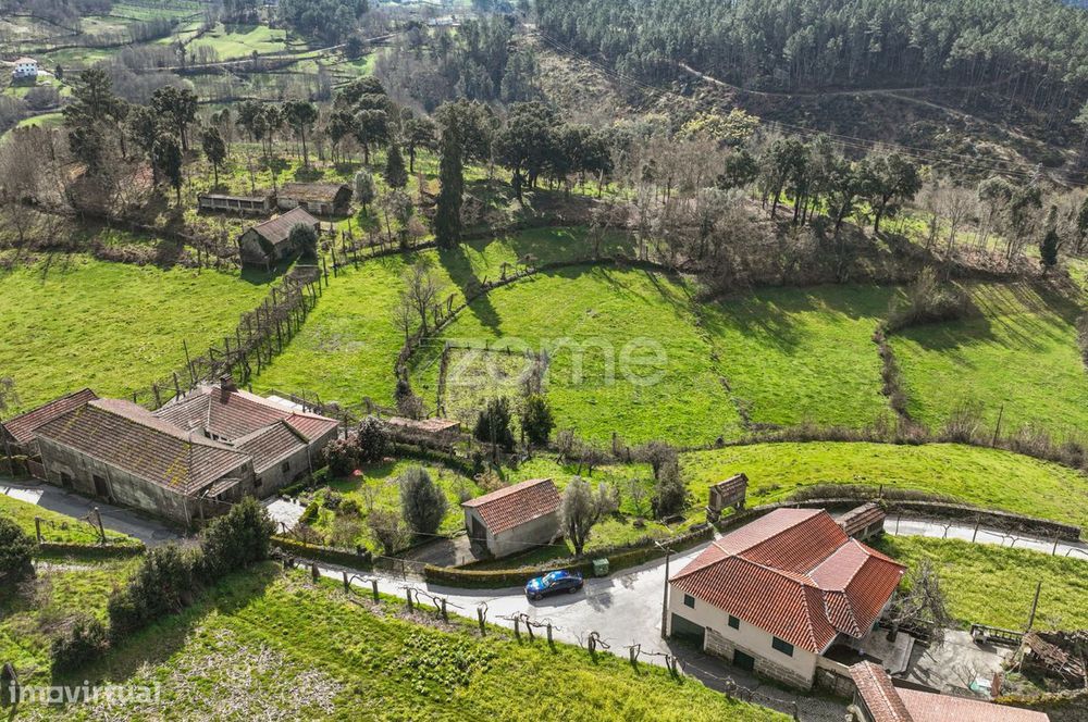 Quinta com 74.400 m2 em Penalonga, Ribeira de Pena - Vila Real