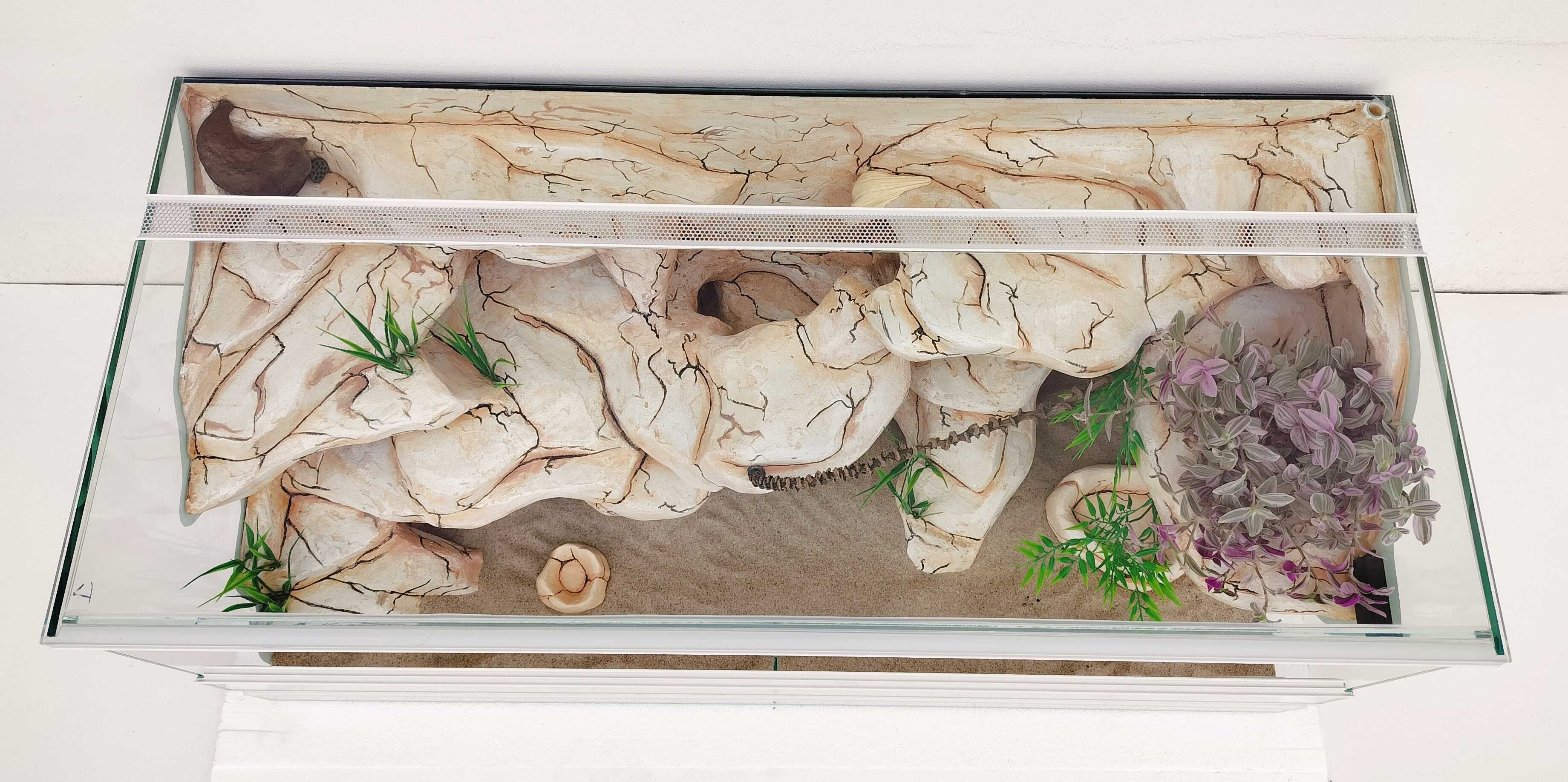 Terrarium dla agamy karłowatej, pytona królewskiego, TW48W3L AquaWaves