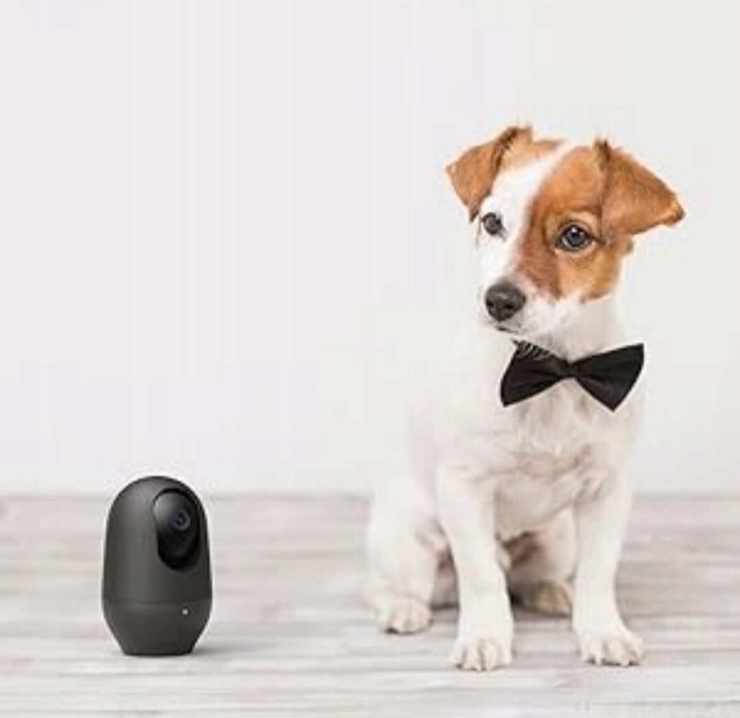 Bezprzewodowa Kamera IP Wewnetrzna Wykrywania Ruchu