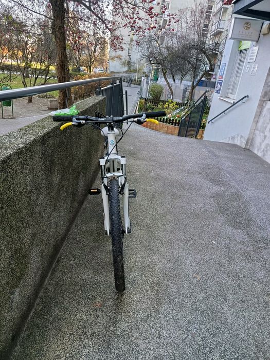 Rower mtb Genesis Zeta