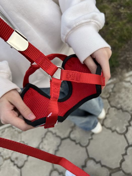 Повідець та шлейка