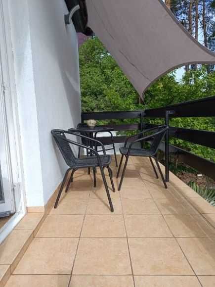 'Okna na las" wynajem mieszkań wakacyjnych