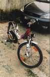 Bicicleta Criança Pegasus