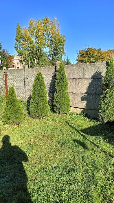 Mieszkanie , 2 pokoje, 53m² I piętro + ogródek, świetna lokalizacja