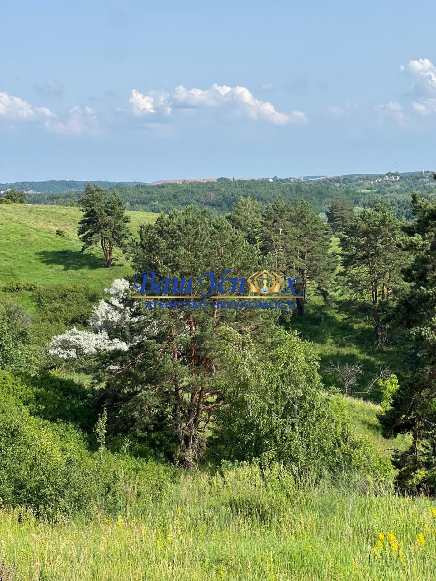 Продаж земли сільгосппризначення  Школьная , село Ходосовка