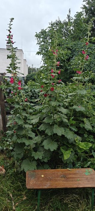 Продам частину будинку Центр