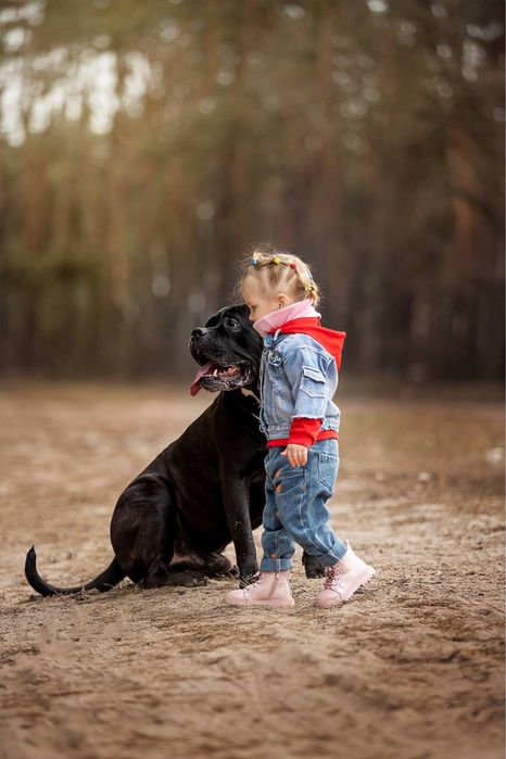 Кобель для вязок