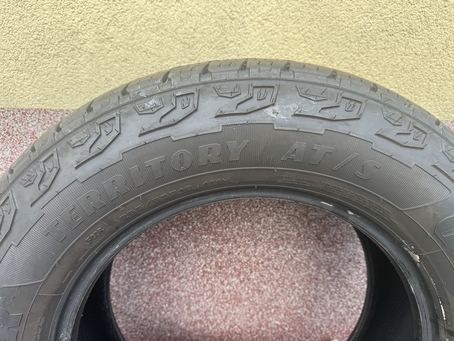 Opony Goodyear Wrangler Territory AT/S 255/65 R18