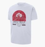 Футболка Nike Chicago Bulls COURTSIDE MAX 90  NBA DR6292-100