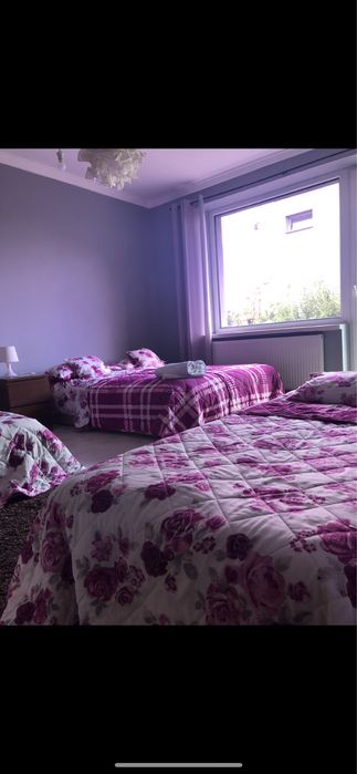 Pokój 3 osobowy + tv + wifi  + sprzątanie cena bez dodatkowych opłat